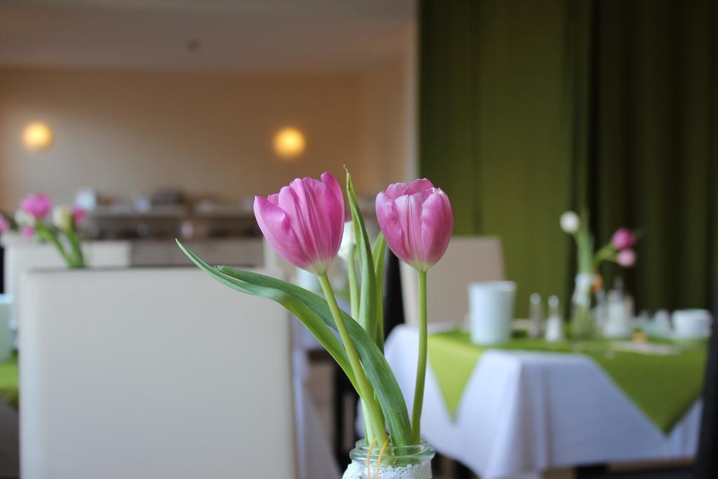 Hotel Und Restaurant "Zur Zwiebel" بيناموندا المظهر الخارجي الصورة